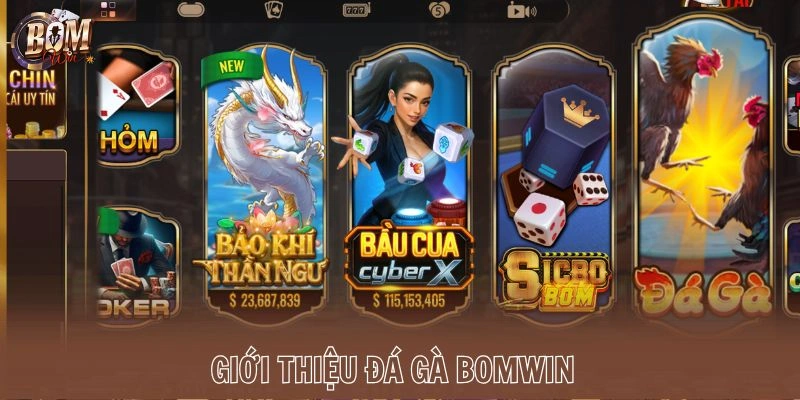 Giới thiệu đá gà Bomwin
