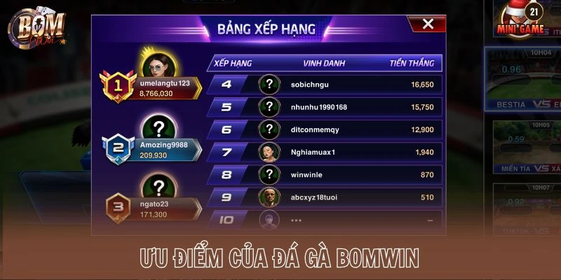 Ưu điểm của đả gà Bomwin